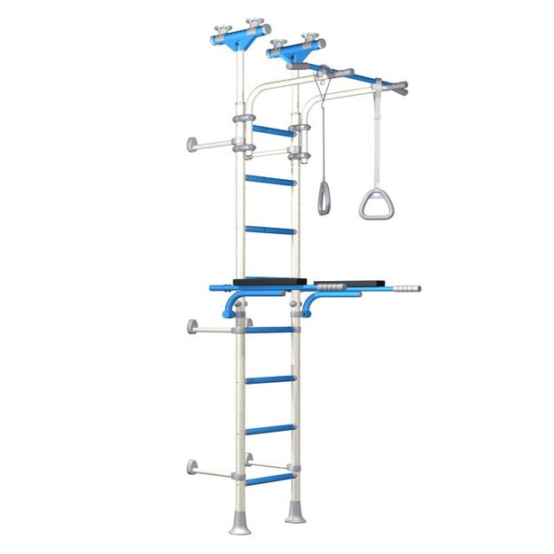 Wallbarz Gym EG-W-055 gymnastic ladder