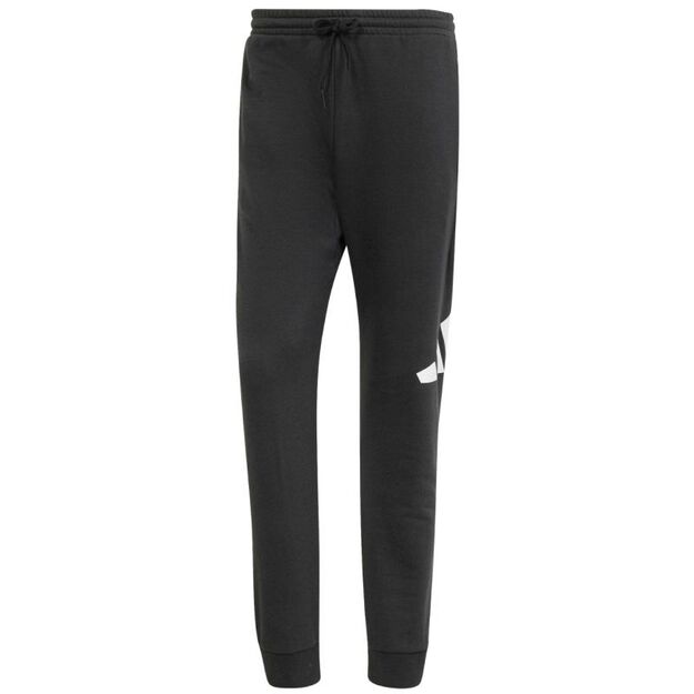 Adidas Essentials Big Logo French Terry M IN6163 pants