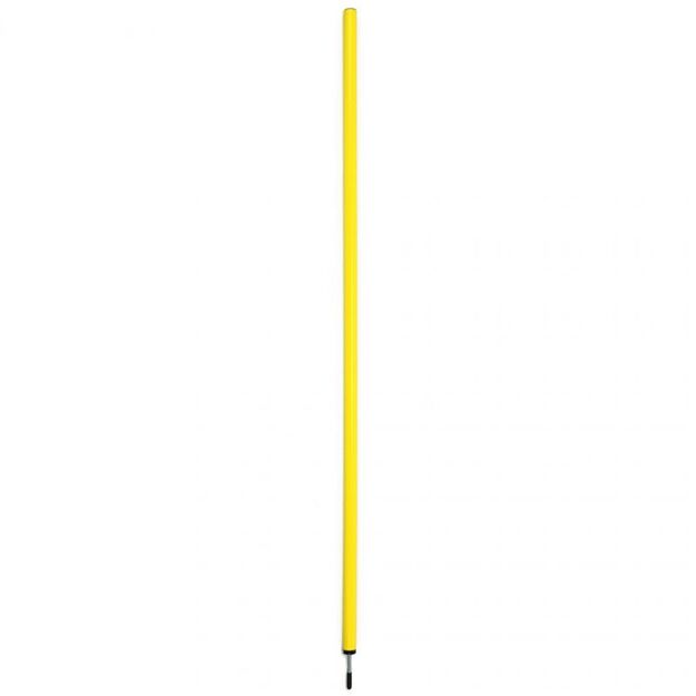 Salomon pole NO10 160cm with metal tip SPL-HD160