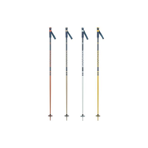 ROSSIGNOL STOVE BOX 20 PAIRS multicolor ski poles