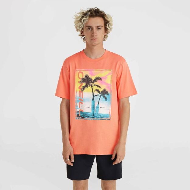 O\ Neill Jack Neon T-Shirt M 92800613602