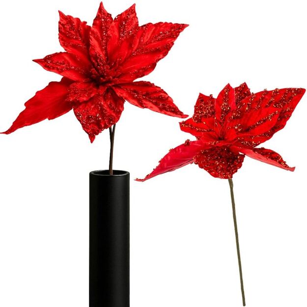 STAR OF BETHLEHEM 30CM