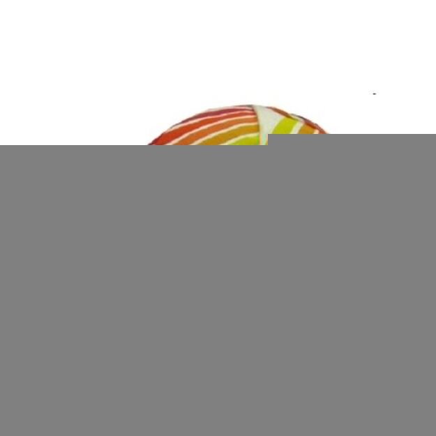 APIS Profi FESTINA Rossin Cap