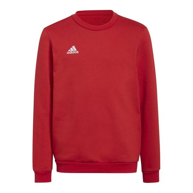 Adidas Entrada 22 Sweat Jr sweatshirt H57473