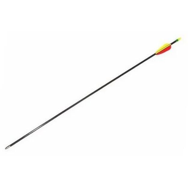 30  Poe Lang Fiberglass Arrow (VD-065K)