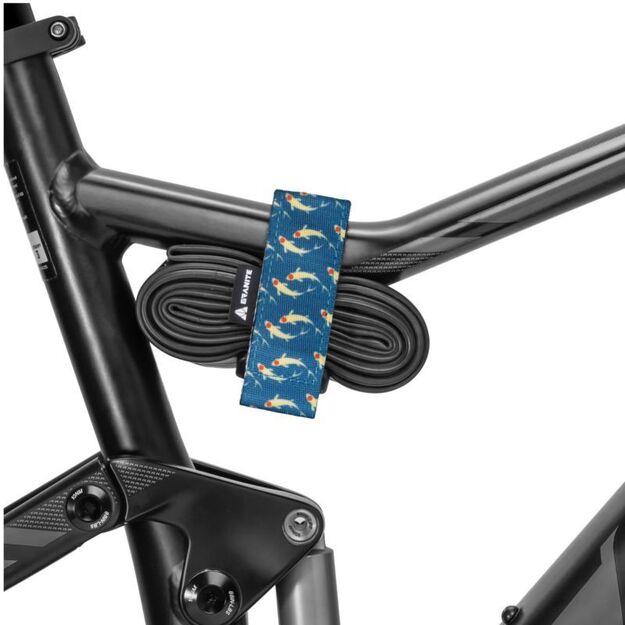 GRANITE ROCKBAND+ fish headband