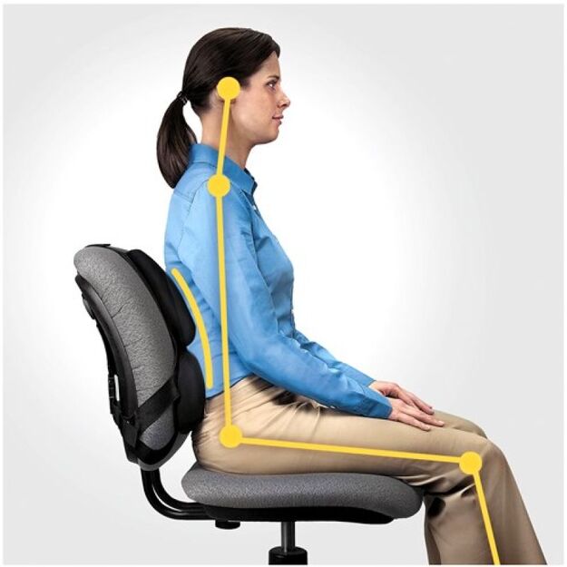 Fellowes Ergonomics Professional Back Support Cushion