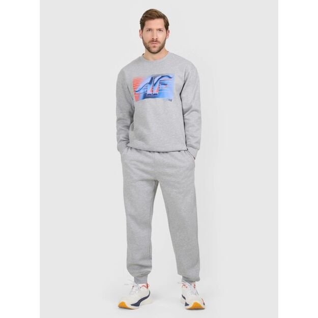 Men\ s jogger sweatpants 4F 4FRAW25TTROM1832-27M